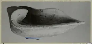Terracotta lamp with a shallow, boat-shaped body and a pointed nozzle, photographed against a grey backdrop.