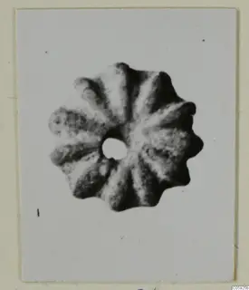Disc-shaped object with rounded radiating lobes around a central hole, shown as a photograph of a find