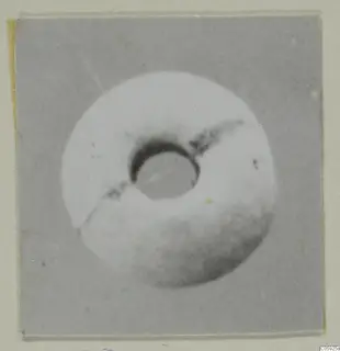 Pale disc-shaped object with a large central hole, photographed close up and mounted on a grey card.