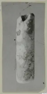 Cylindrical object standing upright with a dark hollow at the top and a mottled pale surface