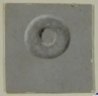 Ring-shaped object with a central hole, photographed on a grey card