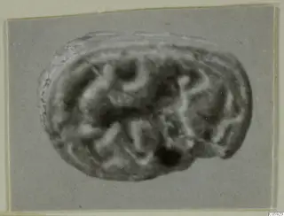 Oval engraved stone seal or gem, photographed in soft focus on a grey card mount