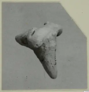 Small terracotta animal figurine from Idalion, photographed against a grey backdrop