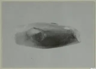 Small find on a grey backdrop: an elongated object with angular, faceted sides, shown from one side