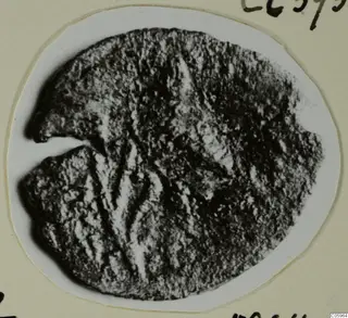 Corroded bronze coin from Idalion, Tomb 2, with a notch cut into its left edge