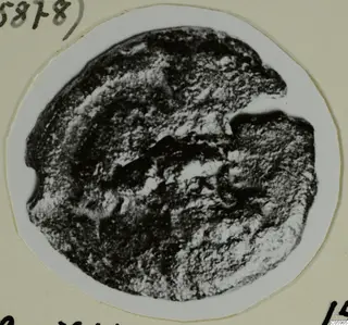 Bronze coin from Idalion Tomb 2, worn and corroded, shown in a photograph mounted on card