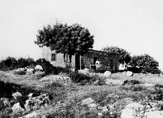 Stone house with a tiled roof at Vouni, with a large tree in front and rocky ground around it.