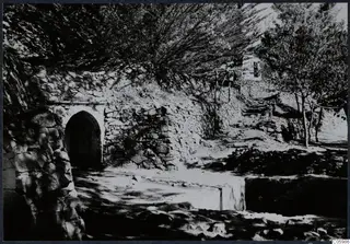 Stone wall with an arched doorway and overhanging trees at Machairas, Troodos