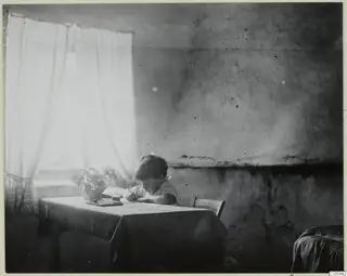 Interior at Machairas: a small boy writes at a table beside a window with sheer curtains.