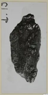 Corroded bronze tool, elongated with a tapering lower end, photographed on a white card