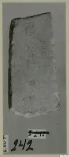 Fragment of a pale, roughly textured object with faint marks, mounted on a grey card