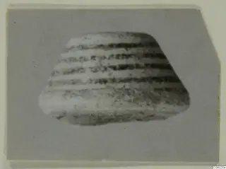 Small pale fragment with horizontal dark bands, photographed on a grey backdrop