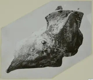Fragment of a terracotta minor plastic animal from Idalion, shown on a mounted card