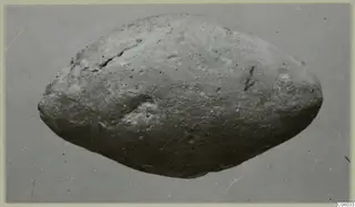 Small find from Idalion: an oval, rounded object with a cracked and chipped surface