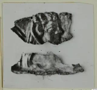 Two corroded metal fragments, one larger and one elongated, photographed on a pale card.
