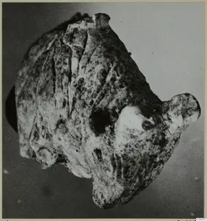 Bone figurine from Idalion: a rough, mottled object with projections, photographed against a grey backdrop