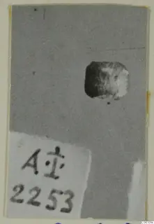 Small dark object with a pale patch, photographed on grey card beside a number label.