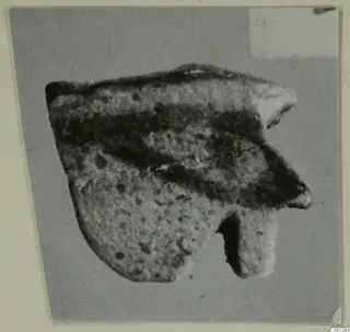 Broken fragment with a dark band across a pale, pitted surface, shown on a grey card mount