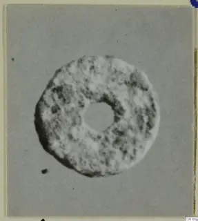 Bone disc with a central hole, photographed on a grey backdrop