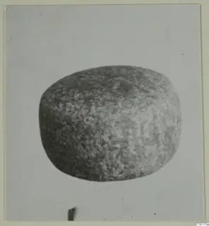 Small find: a rounded, mottled grey object photographed against a pale background