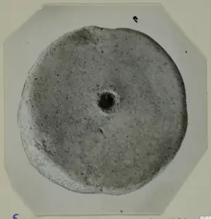 Disc-shaped terracotta object with a central hole, photographed on an octagonal card mount
