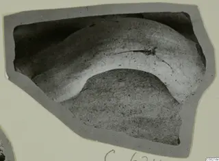 Pottery sherd with a curved edge, close view, print mounted on a grey card