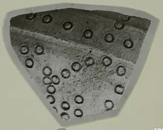 Sherd of pottery with a scatter of circular impressions, photographed on a grey mount.