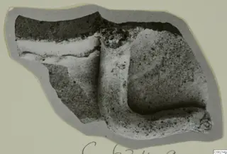 Fragment of a pottery sherd with a thick raised ridge and a broken edge, shown on a grey mount
