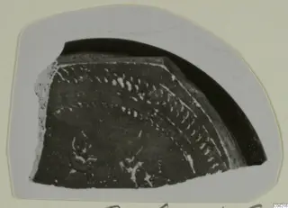 Pottery sherd with a dark surface and white curved decoration, shown on a grey photo card