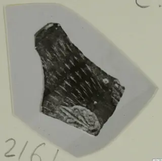 Broken pottery sherd with diagonal incised strokes, photographed on a grey card mount.