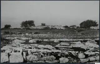 Cut stone foundations at Vouni in the foreground, with a wire fence, trees and a village on a low rise beyond