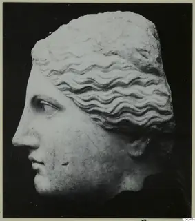 Marble head in left profile with wavy hair, shown against a black background