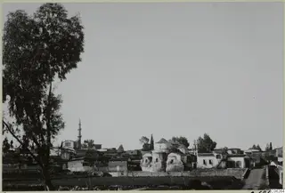 View across a field of Peristerona village, with domed buildings, a minaret and a large tree in the left foreground