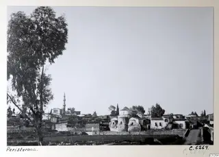View across fields to the village of Peristerona, with domed buildings, houses and a minaret, and a tall tree at the left edge.