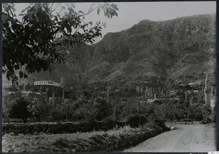 View across orchard trees toward the village of Lapithos, with a steep mountain slope rising behind it
