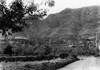 Lapithos village seen across an orchard, with terraced mountain slopes behind and a slender minaret on the right.