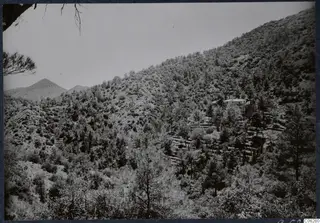 Wooded mountainside at Machairas, Troodos, with a white-roofed building among the trees