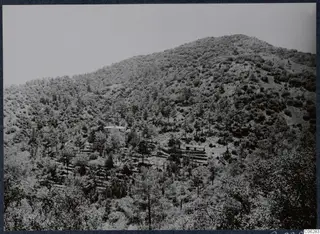 Wooded mountainside in Måndalen, Machairas, with a small hut among pine trees on terraced ground.