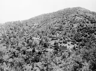 Hut in Måndalen (Moon Valley) near Machairas, among pine trees on a wooded hillside