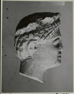 Limestone head of a sculpture in right profile, hair carved in ridged locks, neck broken off flat.