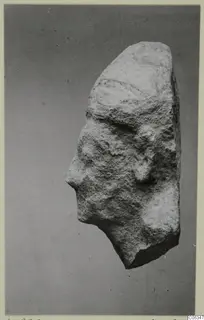 Limestone head fragment in profile, facing left, from Kition.