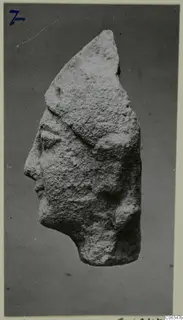 Limestone head fragment from Kition, shown in profile facing left