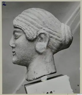 Limestone head in profile from Vouni, with banded hair and a bun, shown on a card base