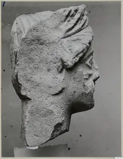 Limestone head fragment from Kition, in profile facing right, with ridged hair and a broken neck