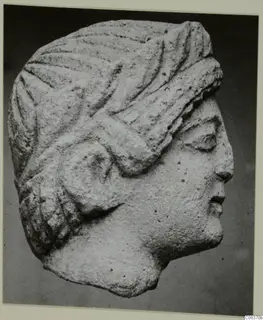 Limestone head in profile facing right, with grooved hair and a rounded curl by the ear, from Vouni