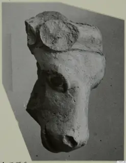 Terracotta figurine of an animal head with muzzle and eye, shown on a grey card mount