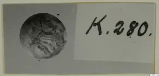 Round bead from Kition beside a handwritten number label, photographed on a grey mount