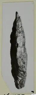 Corroded elongated metal object tapering to a point, one of the bronze weapons from Kition