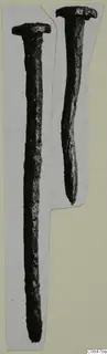 Two corroded nails with flat heads, photographed side by side on a mounted card