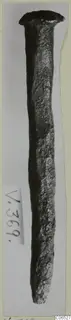 Corroded metal nail with a flat, rounded head, shown upright against a pale background.